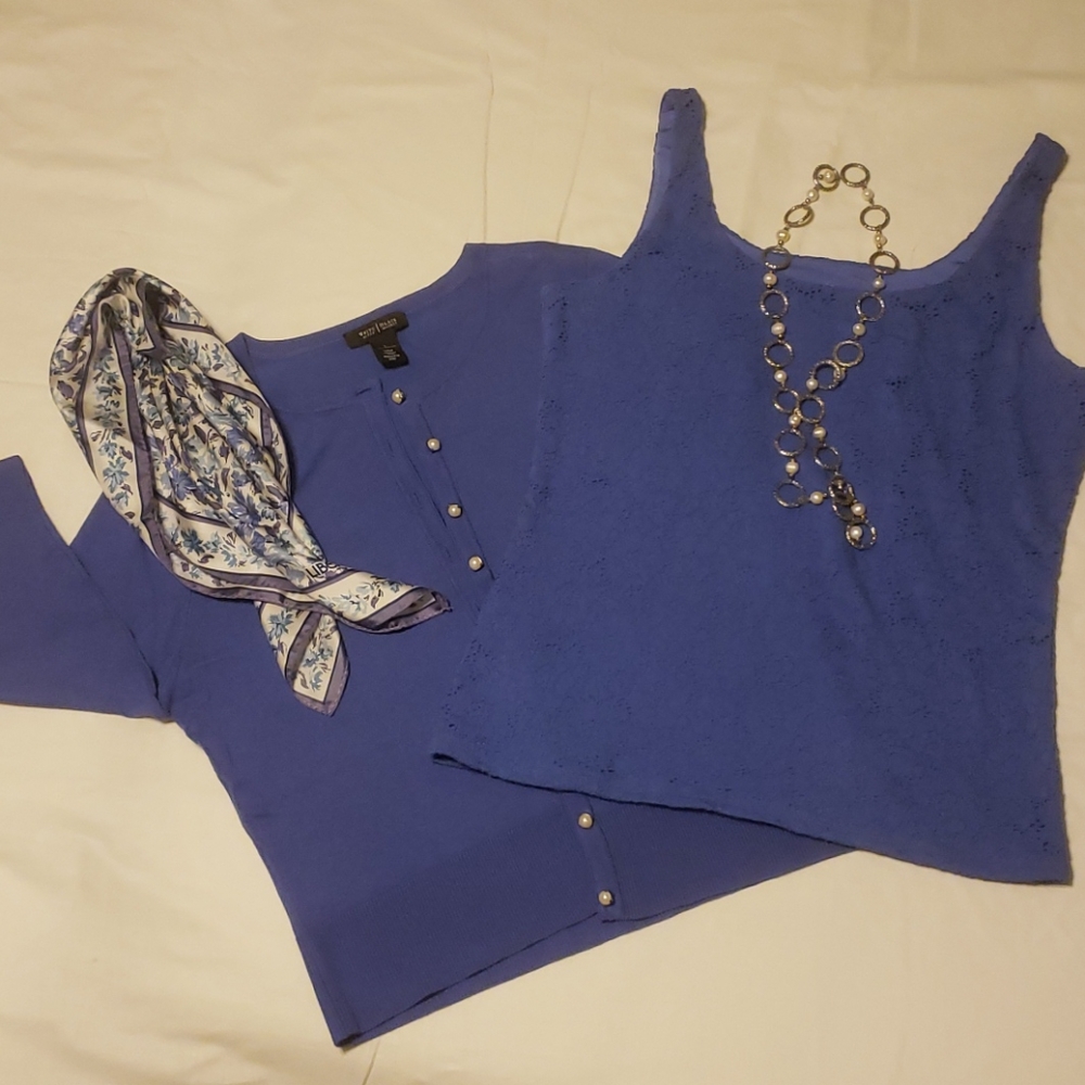 Lovely Iris WHBM Sweater Set